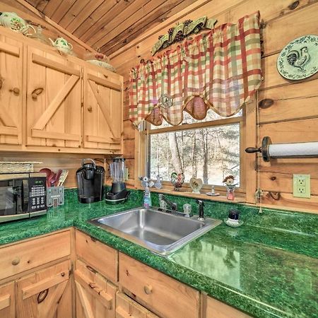 Franklin Cabin With Porch Near Hiking And Waterfalls! Dış mekan fotoğraf