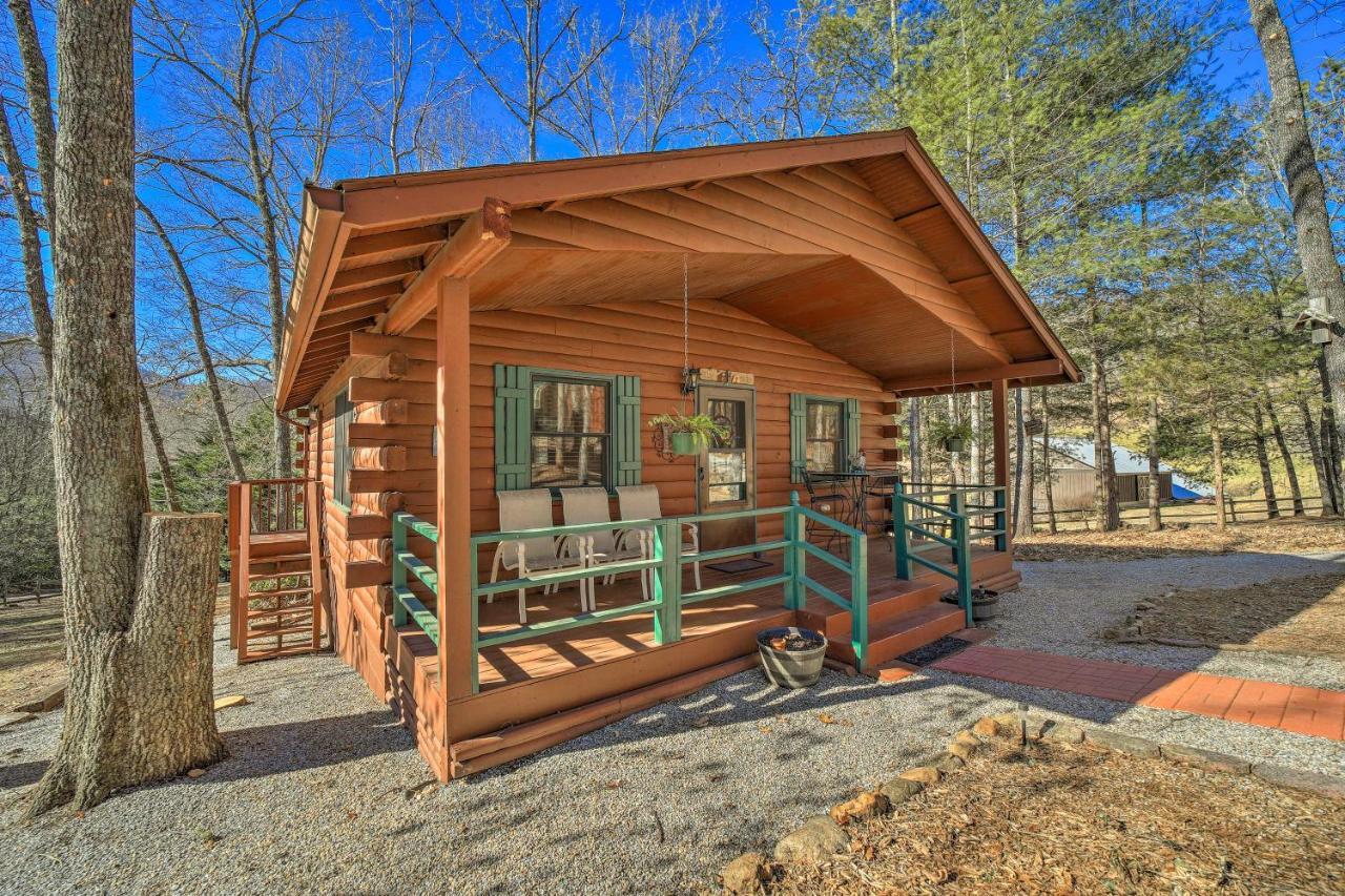 Franklin Cabin With Porch Near Hiking And Waterfalls! Dış mekan fotoğraf