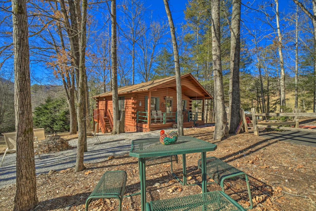 Franklin Cabin With Porch Near Hiking And Waterfalls! Dış mekan fotoğraf